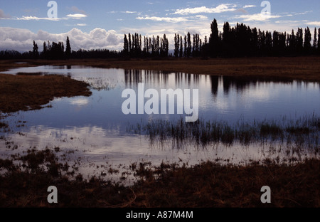 Près de Lac Sarmiento Argentine Amérique du Sud Banque D'Images