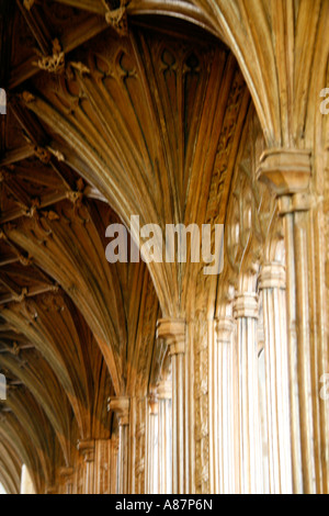 Ventilateur plafond voûté, dans l'intérieur de l'église prieurale St George's, Dunster Banque D'Images