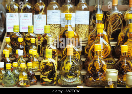 Les serpents et les scorpions, à l'intérieur de bouteilles de vin de riz médicinal au marché le samedi, Hue, Viet Nam Banque D'Images