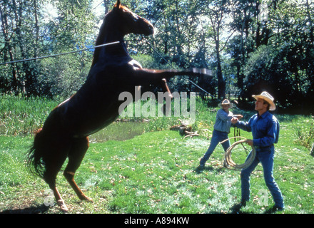 Le cheval WHISPERER 1998 Buena Vista film avec Robert Redford Banque D'Images