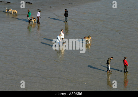 Les promeneurs de chiens une tôt le matin la plage de Portreath à Cornwall, UK. Banque D'Images