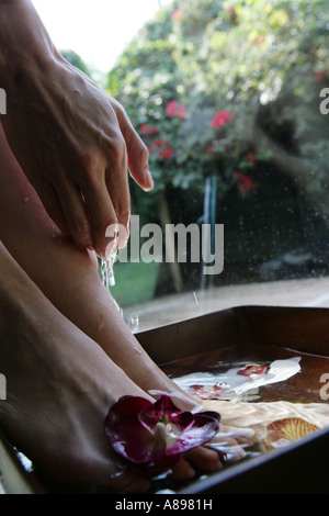 Vue d'un trempage de pieds entre les fleurs d'Orchidées Banque D'Images