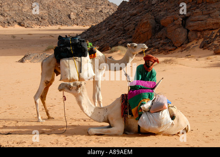 Charges touareg chameaux dans le desert Acacus Libye Banque D'Images