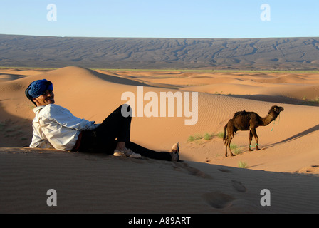 En touareg avec sanddune near Mhamid Maroc camel Banque D'Images