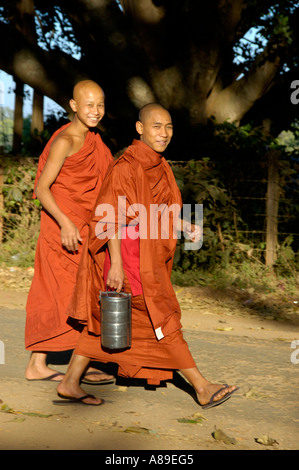 Deux jeunes moines bouddhistes de rire en robes rouges à pied le long d'un vieux figuier de l'État Shan Birmanie Pindaya Banque D'Images