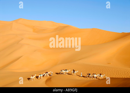 À pied avec des chameaux touareg par big sanddunes dans le désert libyen Mandara Banque D'Images