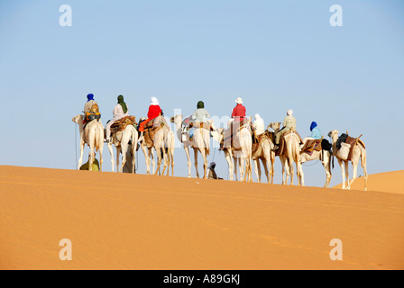 Randonnée chamelière sur sanddune dans le désert libyen Mandara Banque D'Images