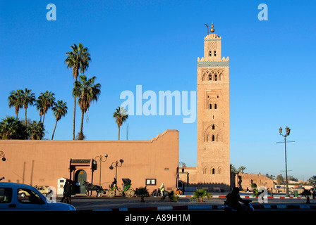 Minaret de palmiers Koutoubia Marrakech Maroc Banque D'Images