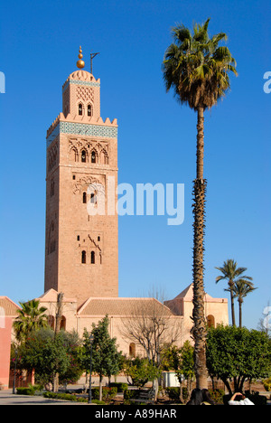 Ancien minaret et palmier Koutoubia Marrakech Maroc Banque D'Images