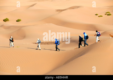 Trekking désert randonnée dans les touristes sanddunes près de Mhamid Maroc Banque D'Images