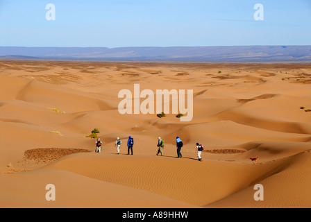 Trekking désert randonnée dans les touristes sanddunes sans fin près de Mhamid Maroc Banque D'Images