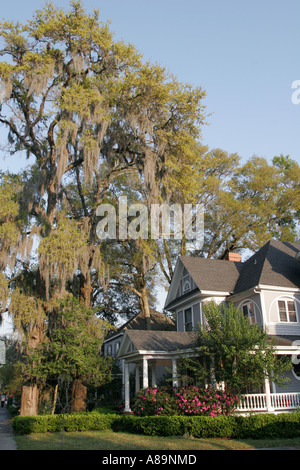 Gainesville Florida,2nd Avenue,Queen Anne maison de style victorien, mousse espagnole, chêne vivant, les visiteurs Voyage voyage tourisme touristique sites touristiques Banque D'Images