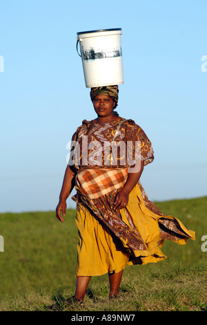 Un Xhosa femme transportant un seau d'eau sur sa tête dans la province d'Eastern Cape d'Afrique du Sud. Banque D'Images