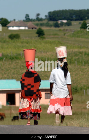 Les femmes Xhosa portant de l'eau dans des seaux sur la tête dans la province d'Eastern Cape d'Afrique du Sud. Banque D'Images