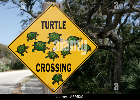 Floride,Comté de Volusia,Daytona Beach,Ponce Inlet,panneau,Turtle Crossing,FL060309017 Banque D'Images