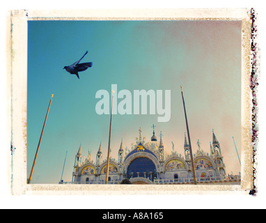 Pigeon vole au-dessus de la Basilique de San Marco à Venise Italie Banque D'Images