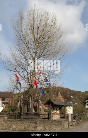 Arbre Arbre habillé avec des drapeaux de Aston sur l'Oisans, Shropshire Banque D'Images