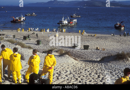 Marée noire du Prestige en cours de nettoyage de plage par des bénévoles LOCATION Islas Cies Ria de Vigo Galice, Espagne Banque D'Images