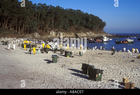 Marée noire du Prestige en cours de nettoyage de plage par des bénévoles LOCATION Islas Cies Ria de Vigo Galice, Espagne Banque D'Images