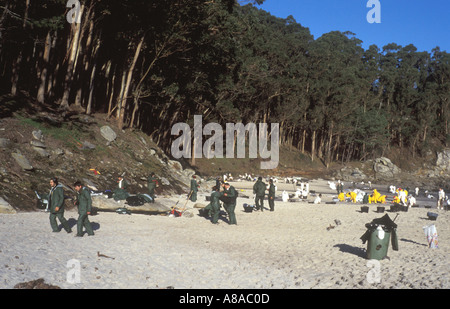 Marée noire du Prestige en cours de nettoyage de plage par des bénévoles LOCATION Islas Cies Ria de Vigo Galice, Espagne Banque D'Images