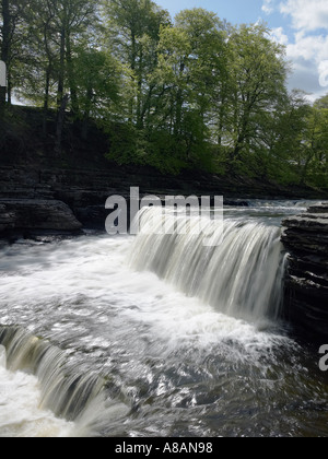 Aysgarth Falls dans Wensleydale dans le Yorkshire au Royaume-Uni Banque D'Images