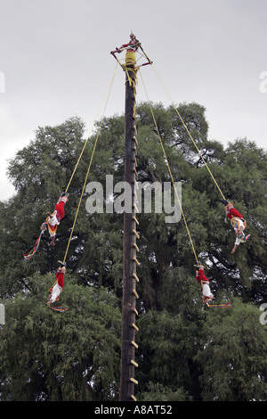 Los Voladores de Papantla un groupe exécutant des cérémonies traditionnelles des Indiens du Mexique lors d'un spectacle à Tule au Mexique Banque D'Images