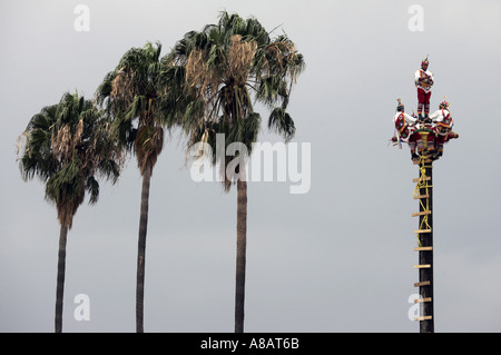 Los Voladores de Papantla un groupe exécutant des cérémonies traditionnelles des Indiens du Mexique lors d'un spectacle à Tule au Mexique Banque D'Images