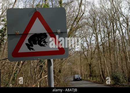 Attention aux crapauds, grenouilles et crapauds traversant la route Horsley Common, Surrey, Angleterre. Ancienne forêt The Thornleys années 2000 Royaume-Uni HOMER SYKES Banque D'Images