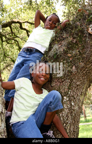 Deux sœurs jumelles Afro-américain aux cheveux noirs l'escalade l'arbre dans le parc. Banque D'Images