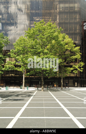 Broadgate zone de bureaux en ville de Londres montrant zone pavée avec l'utilisation des arbres dans l'aménagement paysager Banque D'Images
