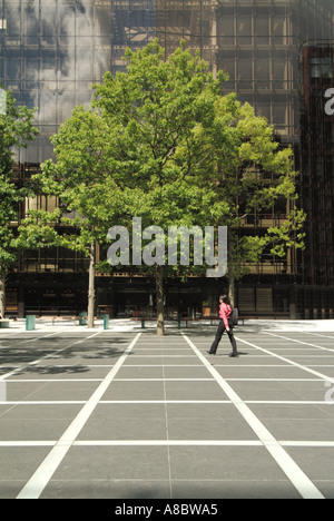 Broadgate zone de bureaux en ville de Londres montrant zone pavée avec l'utilisation des arbres dans l'aménagement paysager Banque D'Images