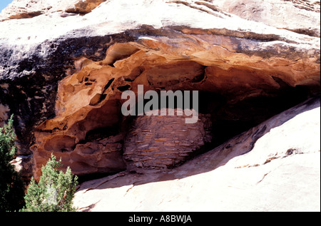 Canyonlands National Park Utah UT ancien grenier de stockage alimentaire Anasazi Banque D'Images