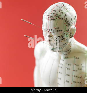 Modèle anatomique pour l'acupuncture Banque D'Images