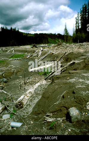 Washington dévastation Volcan Mt St Helens mud flow à Muddy Creek Banque D'Images