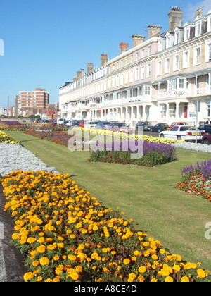 Worthing dans l'été de fleurs plantes à massifs dans des jardins donnant sur terrasses résidentielles à proximité, promenade West Sussex England UK Banque D'Images
