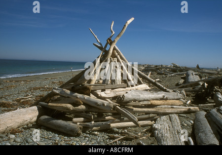 Tipi de bois flotté sur la plage de dormeur, structure de la péninsule Olympique, dans l'État de Washington, au nord-ouest du Pacifique, États-Unis Banque D'Images