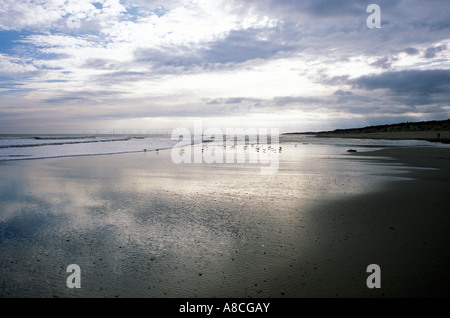 Tôt le matin, la lumière, les reflets des nuages et du ciel sur le sable humide , wind farm in distance, Winterton beach, North Norfolk Coast. Banque D'Images