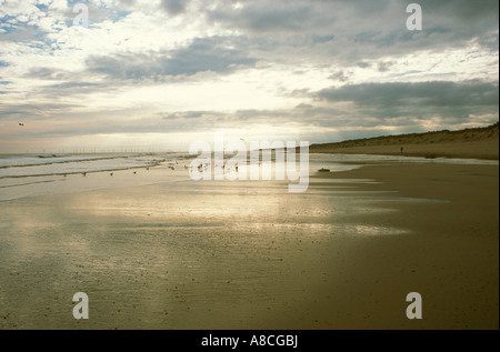 Tôt le matin, la lumière réfléchie sur le sable humide, avec la ferme éolienne dans Winterton distance plage côte nord du comté de Norfolk. Banque D'Images