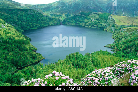 Lac Lagoa Rasa l'île de Flores Açores Portugal Europe Banque D'Images