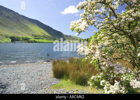 Maytime à Tal y Llyn Lake, Gwynedd, au nord du Pays de Galles Banque D'Images