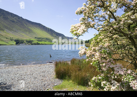 Maytime à Tal y Llyn Lake, Gwynedd, au nord du Pays de Galles Banque D'Images