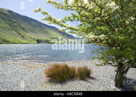 Maytime à Tal y Llyn Lake, Gwynedd, au nord du Pays de Galles Banque D'Images