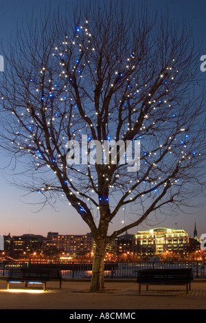 Rive sud du fleuve de la Tamise au crépuscule avec feux d'arbres. Londres, Angleterre Banque D'Images