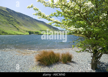 Maytime à Tal y Llyn Lake, Gwynedd, au nord du Pays de Galles Banque D'Images