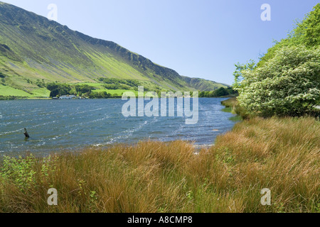 Maytime à Tal y Llyn Lake, Gwynedd, au nord du Pays de Galles Banque D'Images