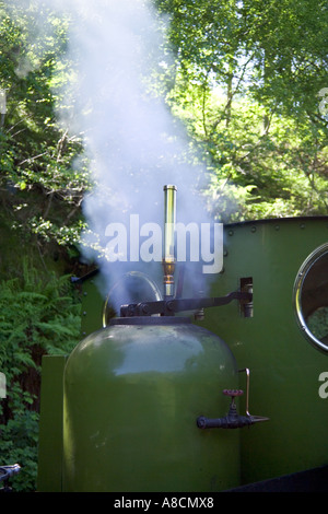 Sifflet à vapeur sur un moteur sur le Talyllyn Railway, Gwynedd, au nord du Pays de Galles Banque D'Images