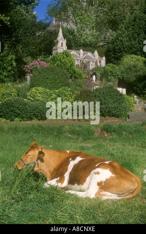 Petite chapelle et une vache à Guernesey Les Vauxbelets, Guernsey, Channel Islands Banque D'Images