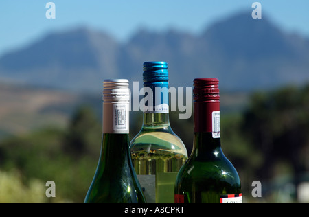 Visser les bouchons des bouteilles de vin d'Afrique du Sud Banque D'Images