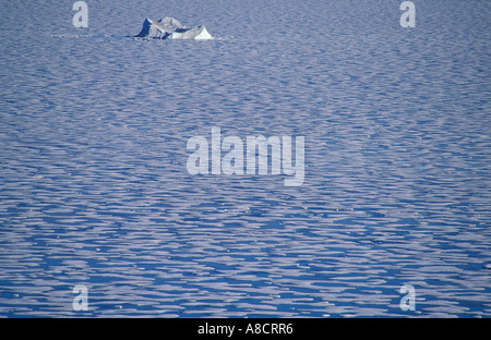 Pack de glace sur Alexandra Fiord l'île d'Ellesmere dans l'Arctique canadien Banque D'Images