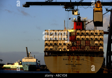 Conteneurs de déchargement dans le port de Felixstowe, Suffolk, UK. Banque D'Images